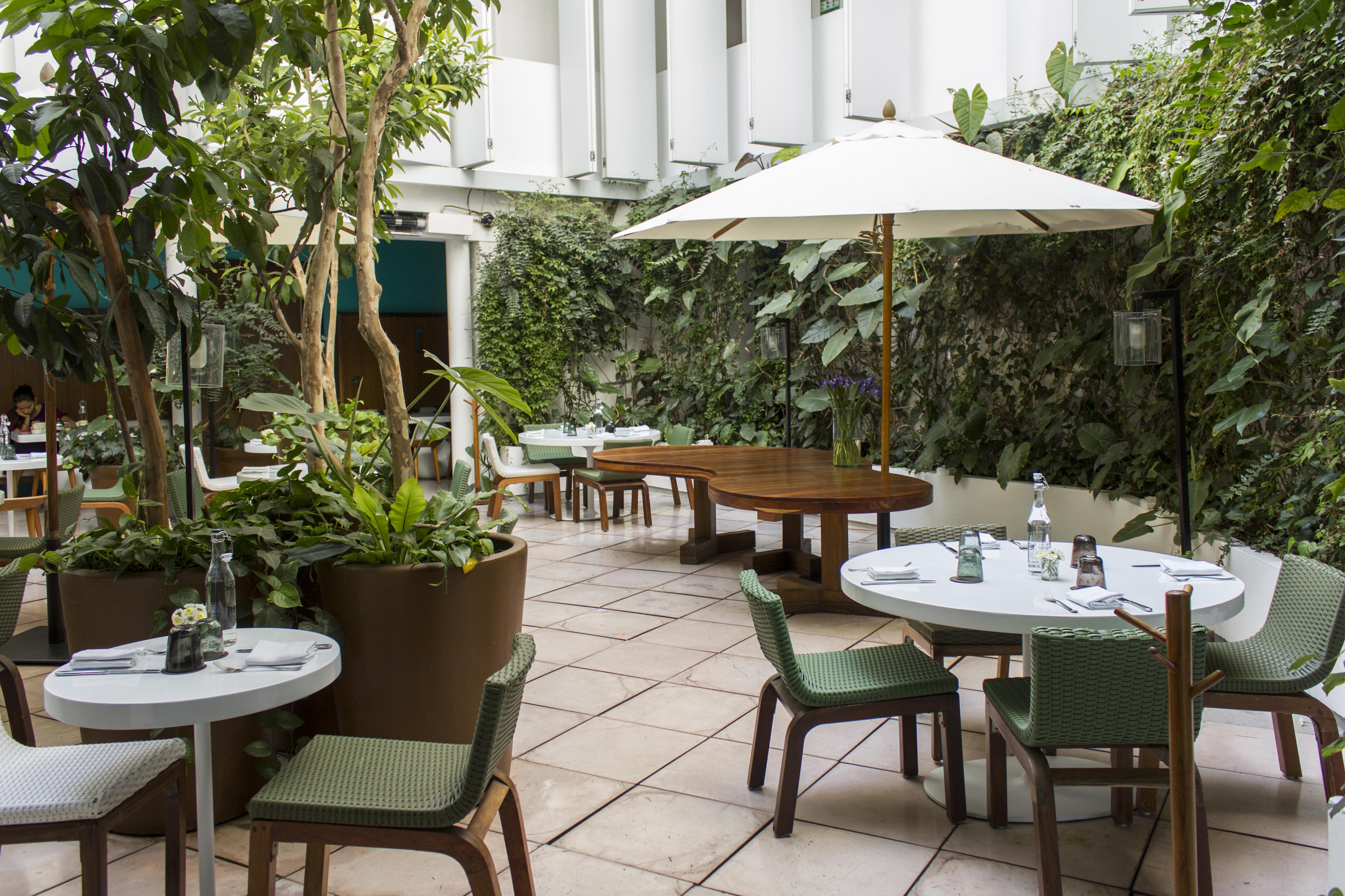 Condesa Df, Mexico City, A Member Of Design Hotels Екстер'єр фото